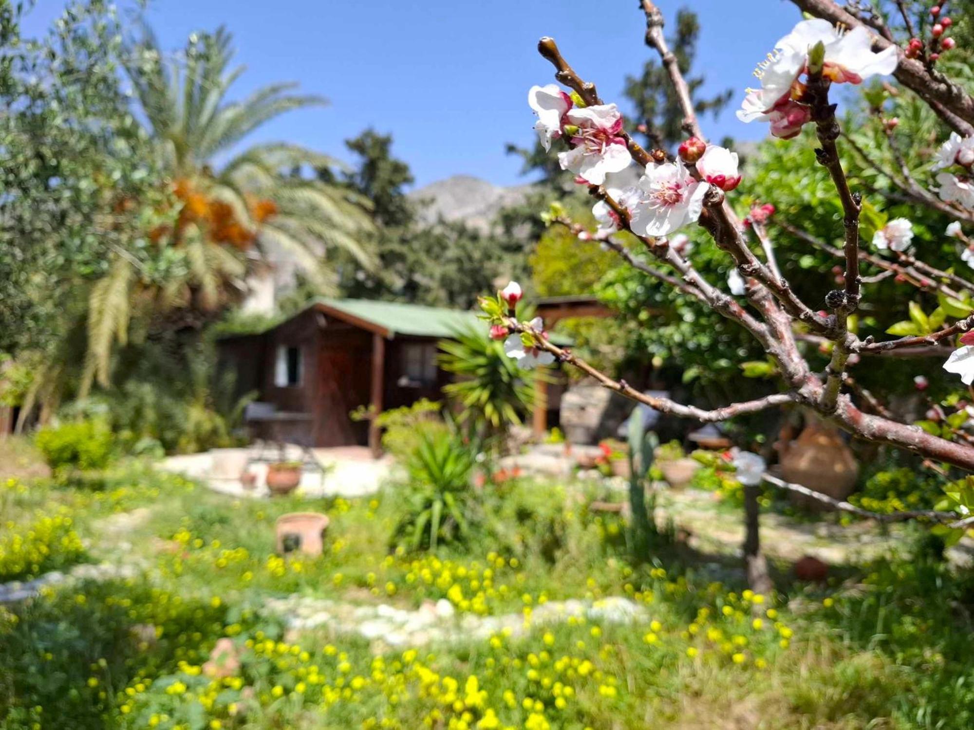 Levantes Garden House - Keratokambos Bagian luar foto